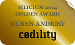 Codility certificate